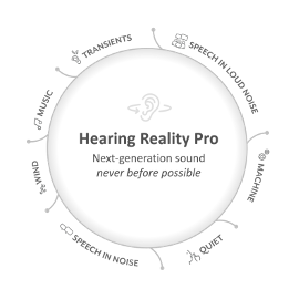 hearing reality pro